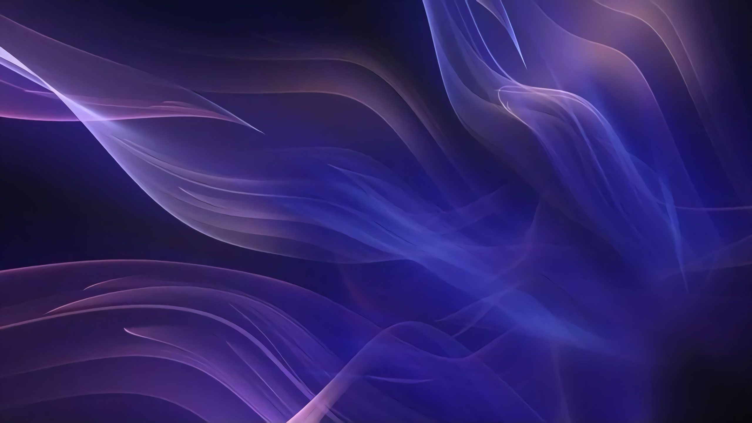 智客权益专心做好一件事
打造更全面稳定的一手货源平台-智客权益